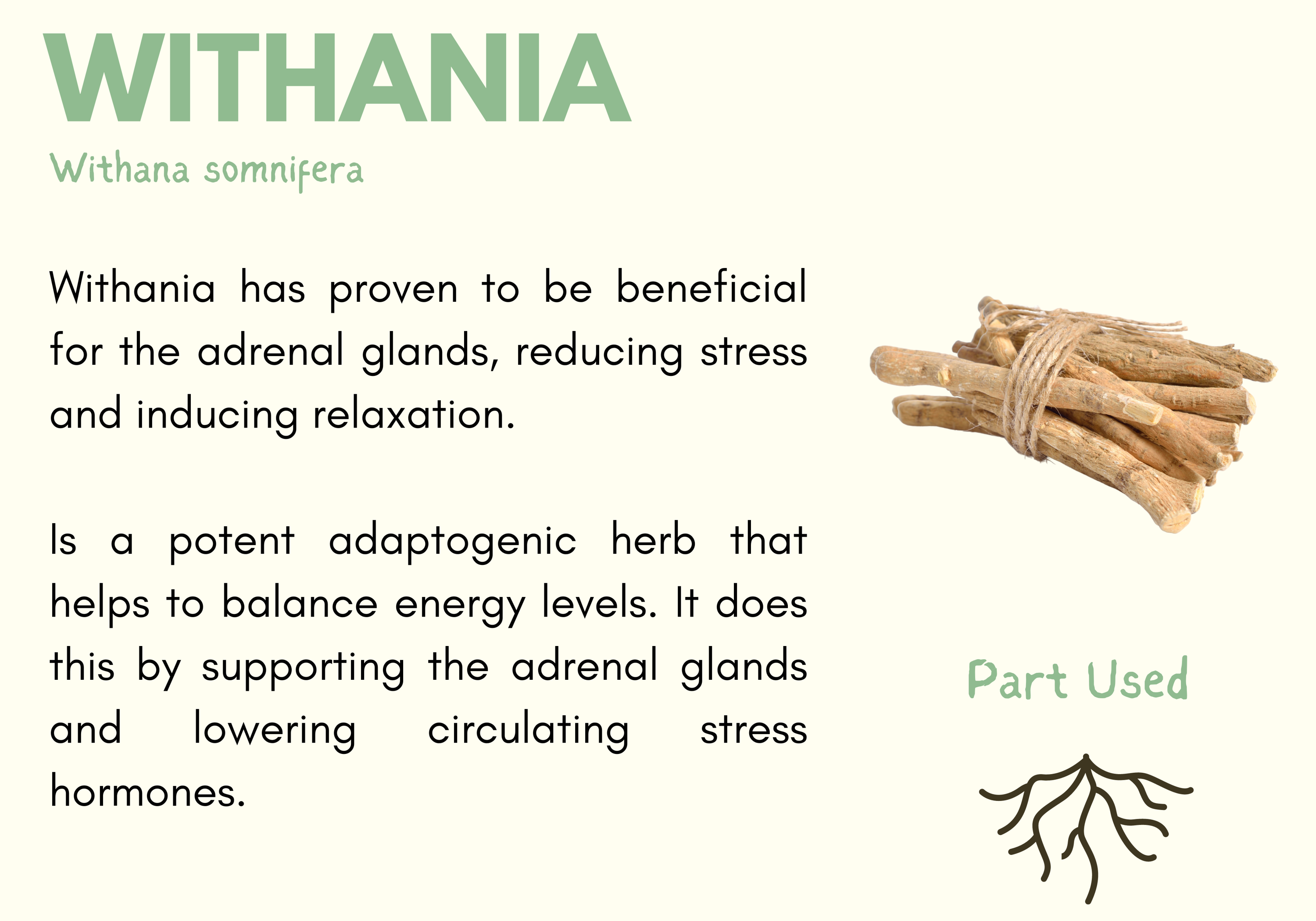 Hyperthyroid Support Herbal Tincture for Cats 100ml Natural Pet Supplements Australia